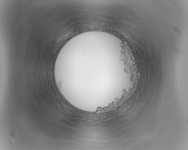 X0000115020720200912071027