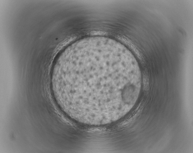 X0000115020721200912071026