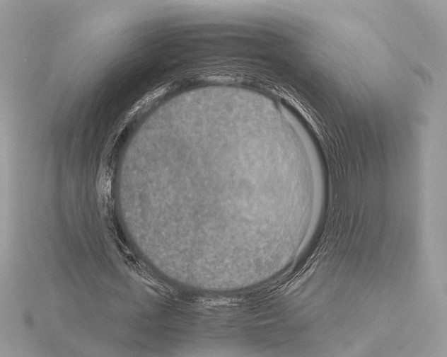 X0000115020723200912071026