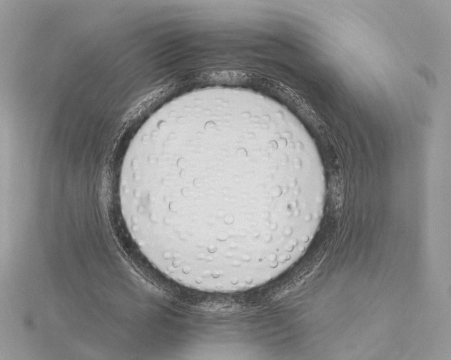 X0000115020725200912071026