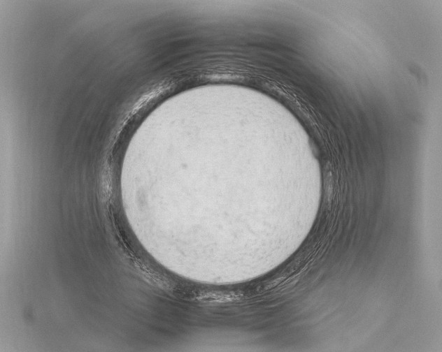 X0000115020727200912071026