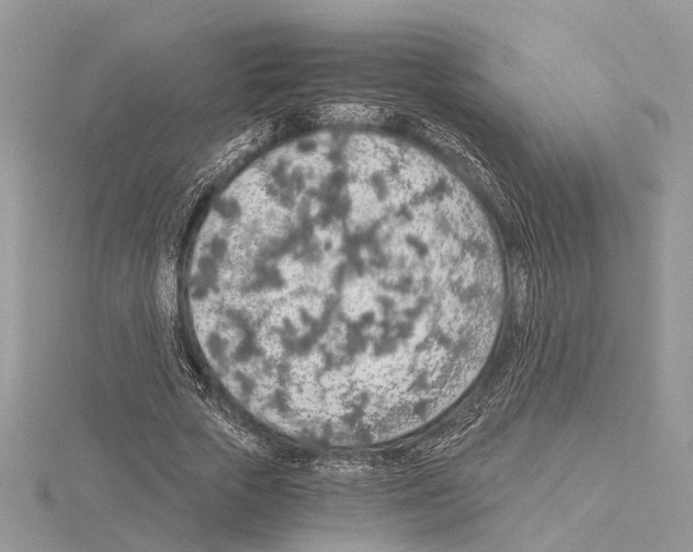 X0000115020729200912071026