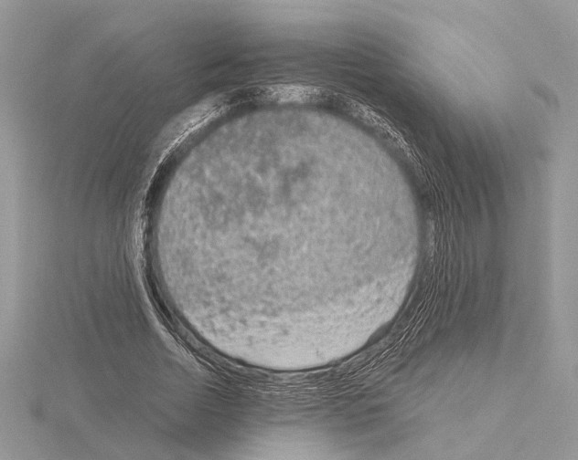 X0000115020730200912071026