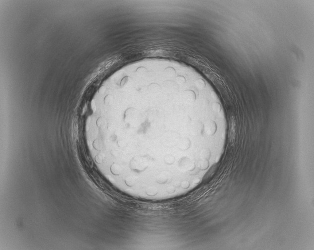 X0000115020734200912071027