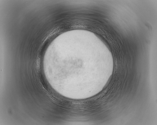 X0000115020735200912071027