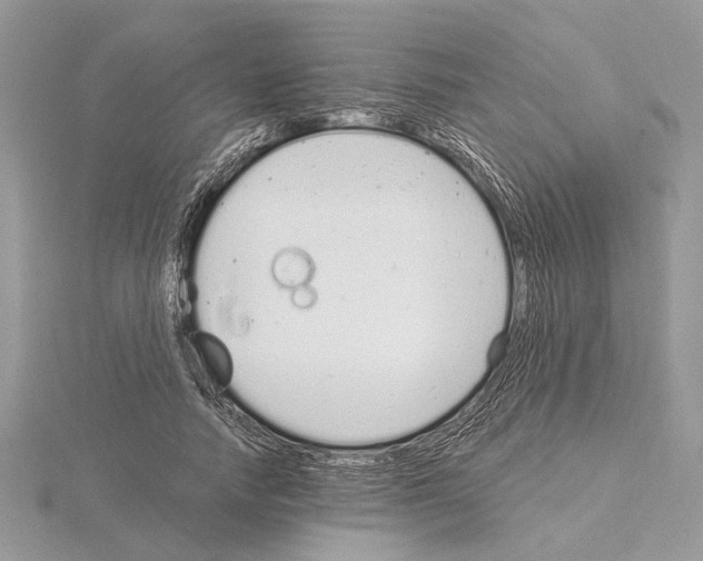 X0000115020738200912071027