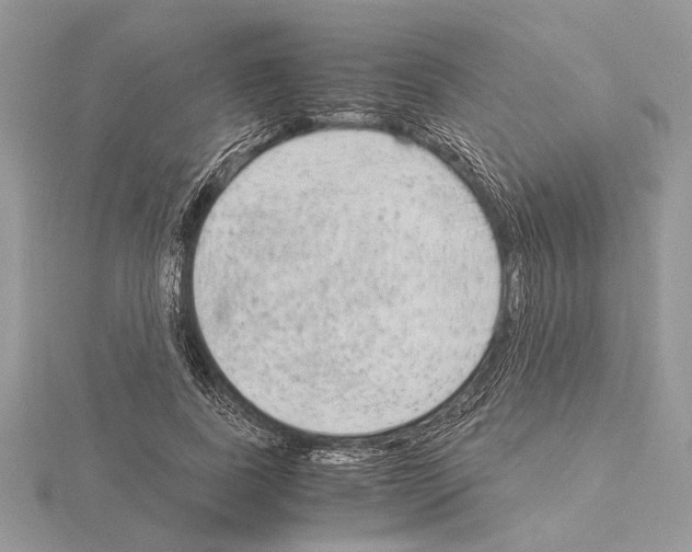 X0000115020739200912071027