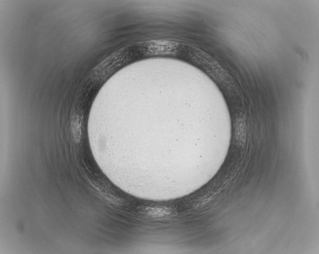 X0000115020741200912071027