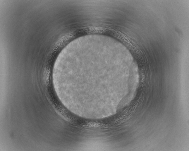 X0000115020742200912071027