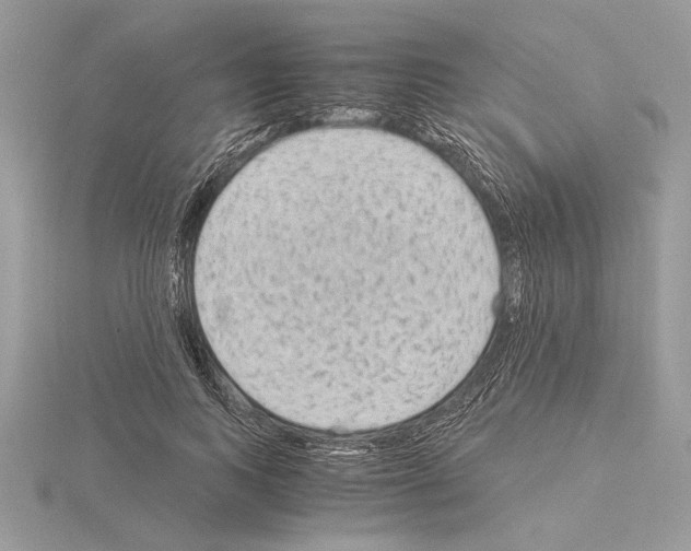 X0000115020743200912071027