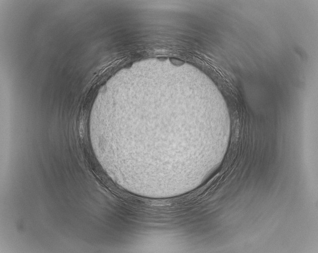 X0000115020746200912071027