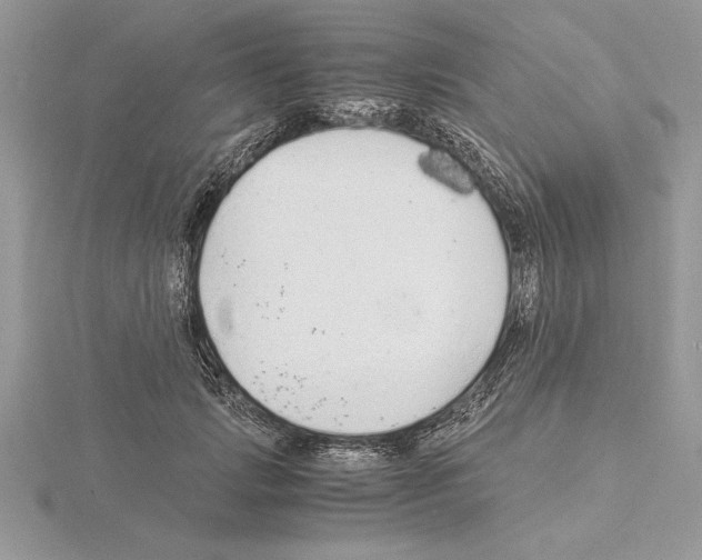 X0000115020749200912071027