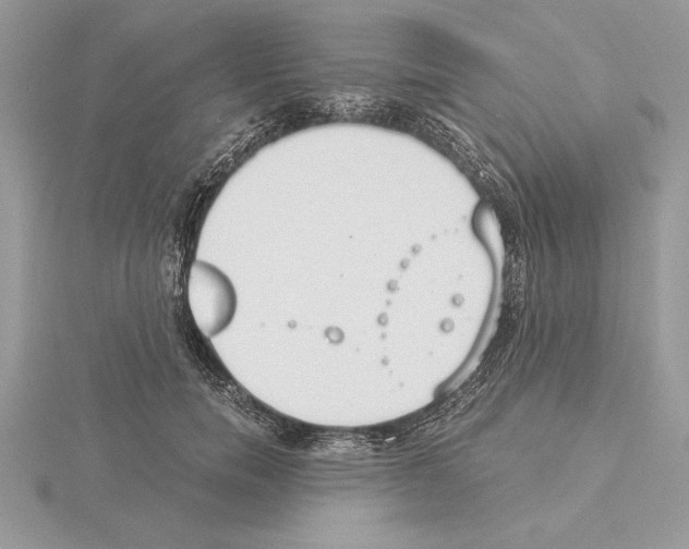 X0000115020750200912071027