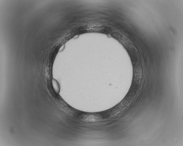 X0000115020755200912071027