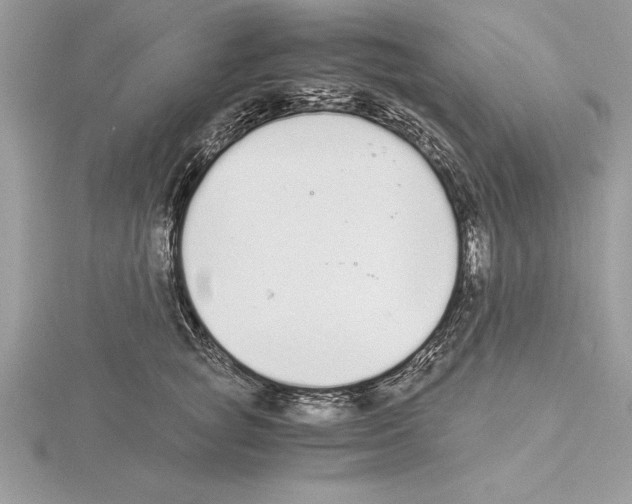 X0000115020757200912071027