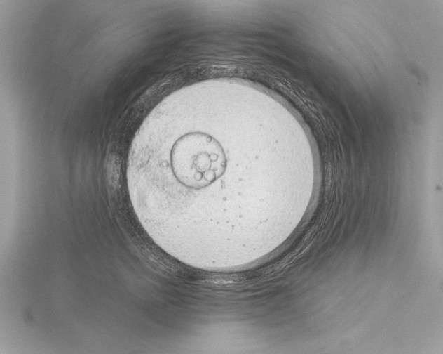 X0000115020758200912071027