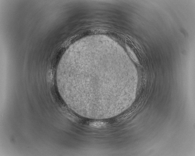 X0000115020759200912071027