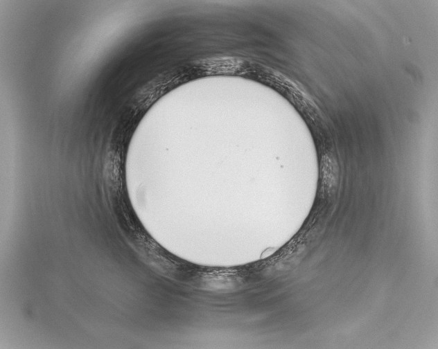 X0000115020761200912071027