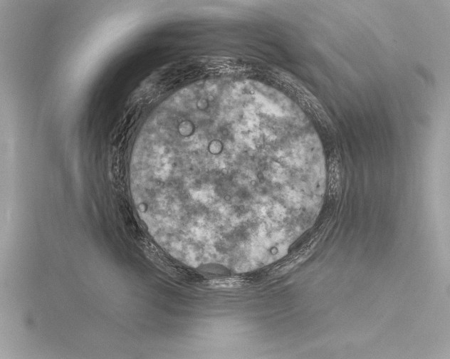 X0000115020762200912071027