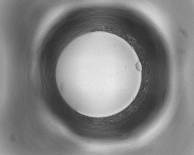 X0000115020766200912071027