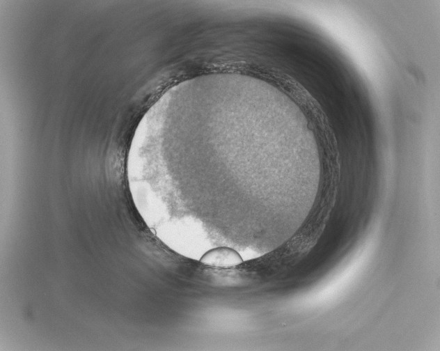 X0000115020767200912071027