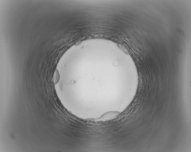 X0000115020769200912071026