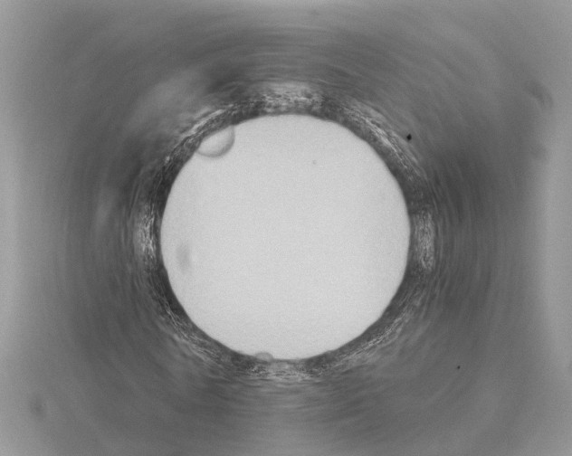 X0000115020770200912071026