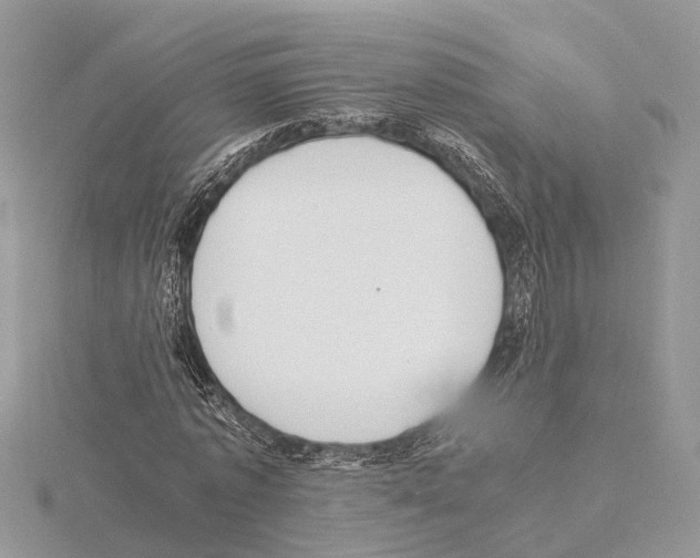 X0000115020773200912071026