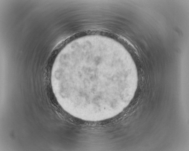 X0000115020775200912071026