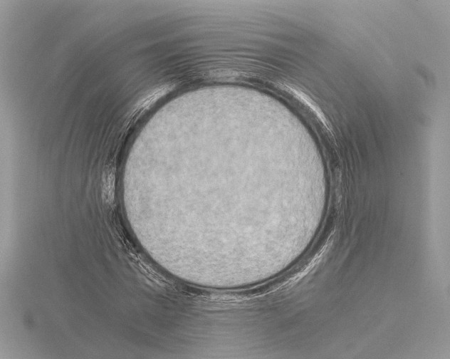 X0000115020777200912071026