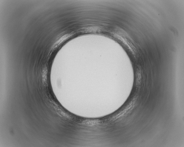 X0000115020778200912071026