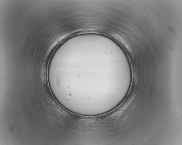 X0000115020781200912071026