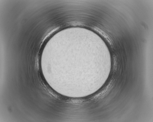 X0000115020782200912071026