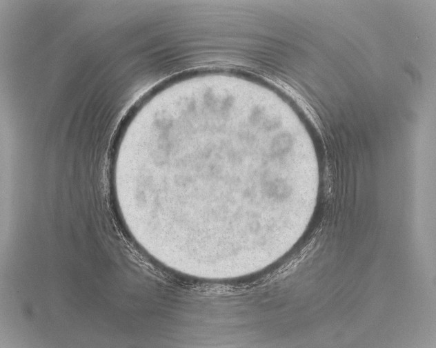 X0000115020783200912071026