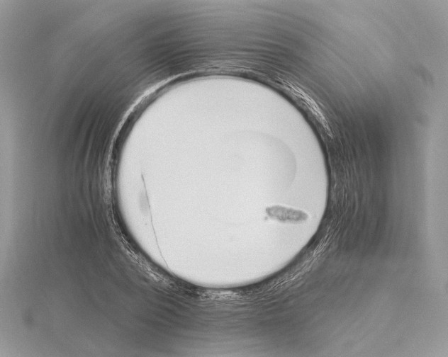 X0000115020784200912071026