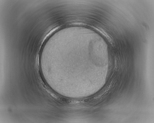 X0000115020790200912071026