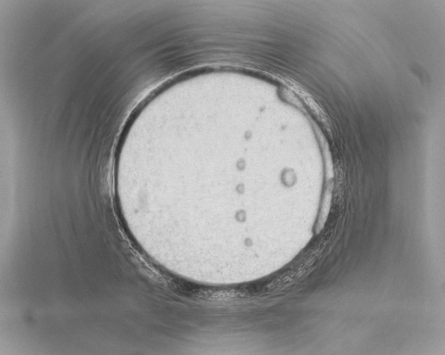 X0000115020791200912071026