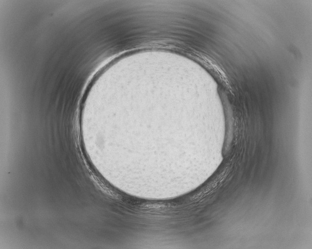 X0000115020792200912071026