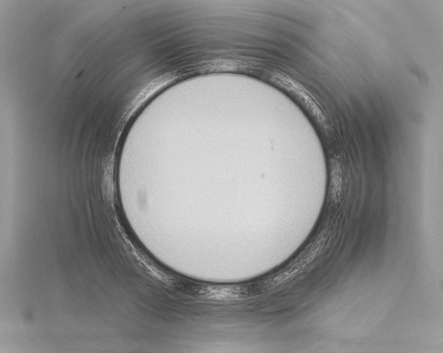 X0000115020794200912071026