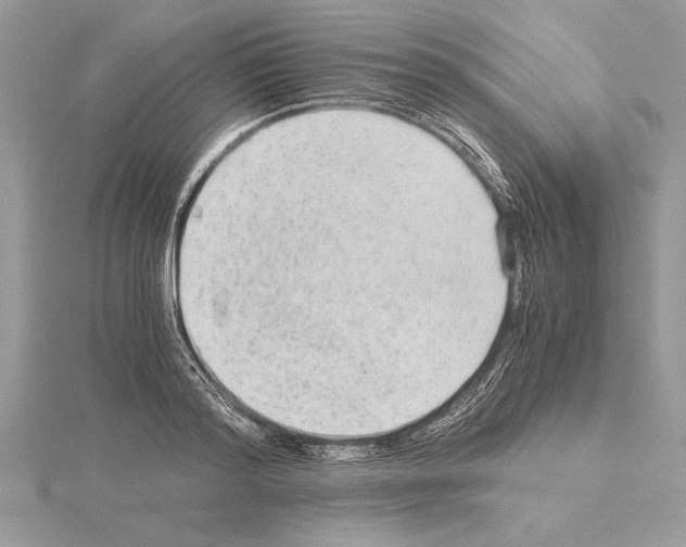 X0000115020796200912071026