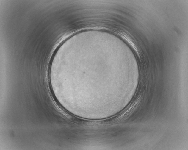 X0000115020797200912071026