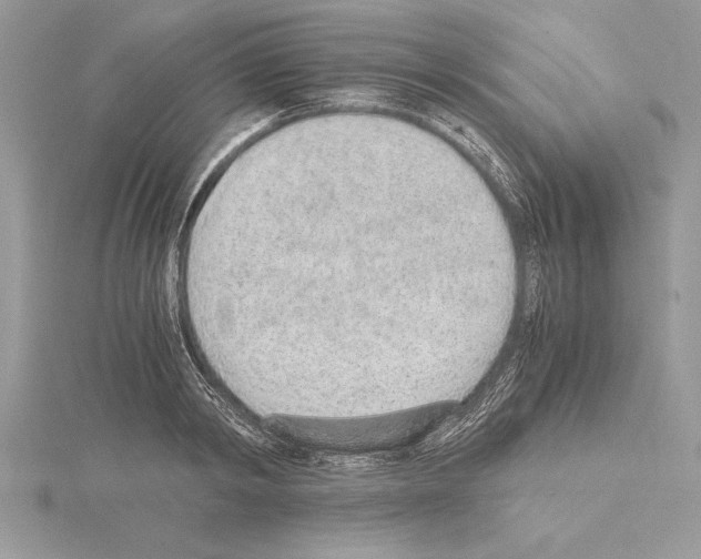 X0000115020798200912071026