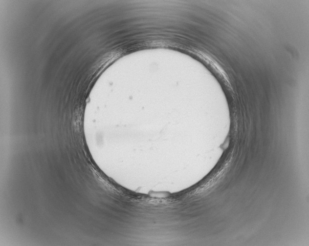 X0000115020801200912071026