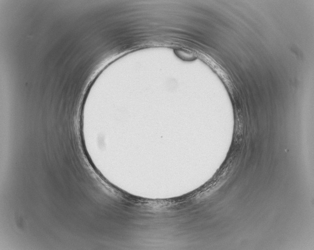 X0000115020803200912071026