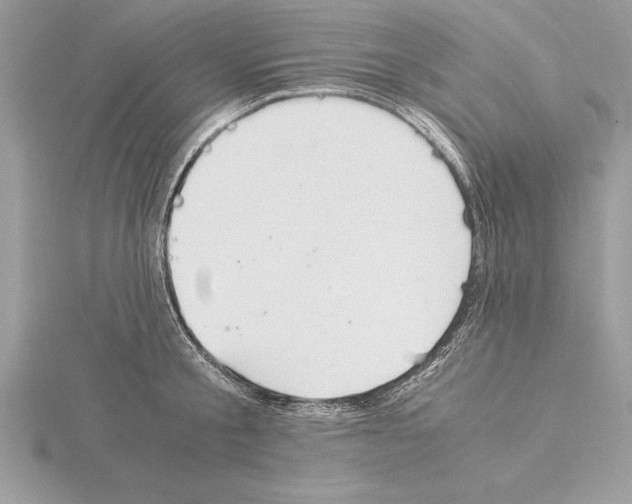 X0000115020805200912071026