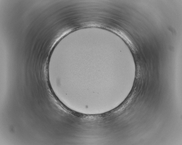 X0000115020806200912071026