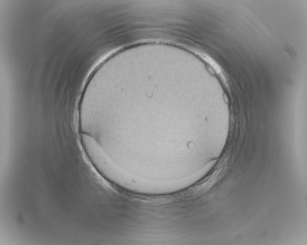 X0000115020807200912071026