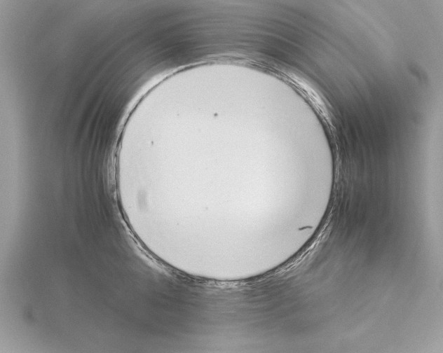 X0000115020808200912071026