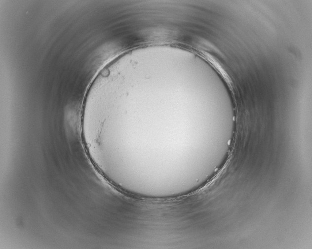 X0000115020810200912071026