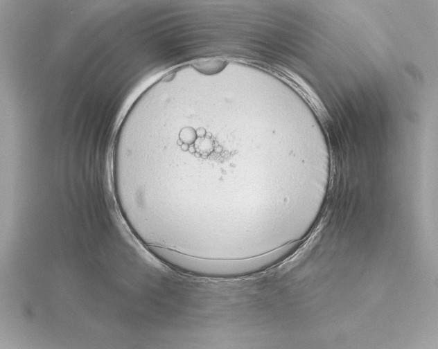 X0000115020812200912071026